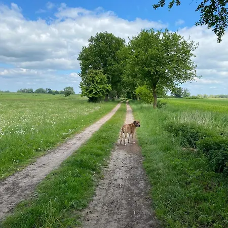 Landliebe 아파트 *