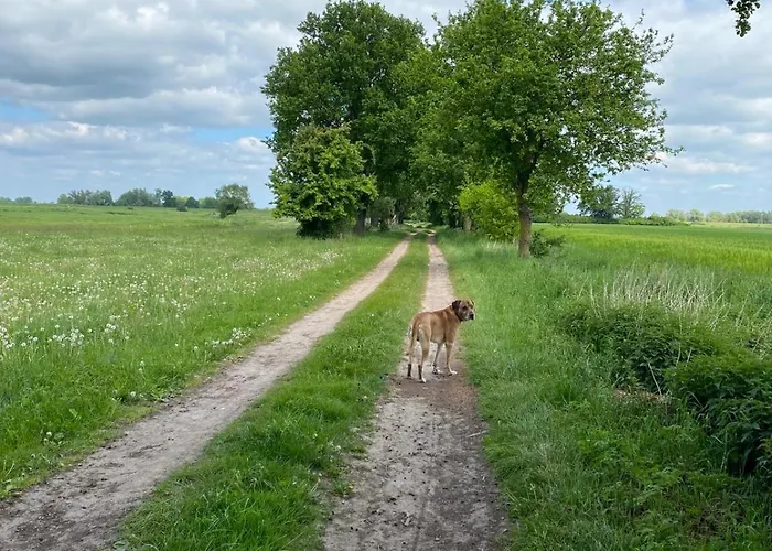 Landliebe Apartman *
